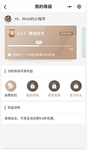 等级会员 等级会员